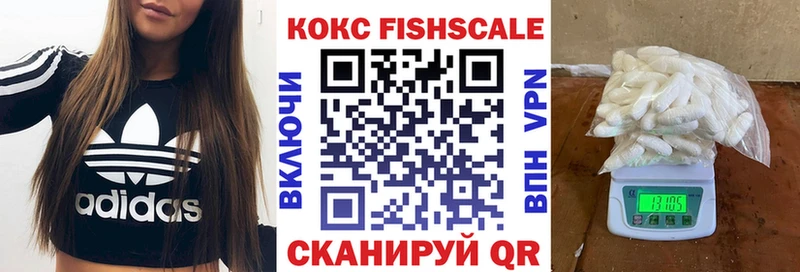 COCAIN Эквадор  закладки  Устюжна 