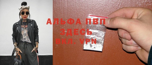 индика Баксан
