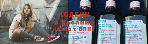 индика Баксан