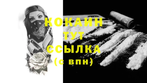 индика Баксан