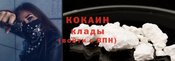 индика Баксан