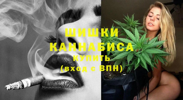 индика Баксан