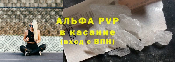 индика Баксан