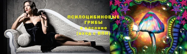 индика Баксан