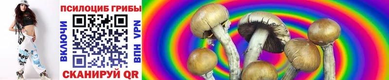 Галлюциногенные грибы Cubensis  Устюжна 