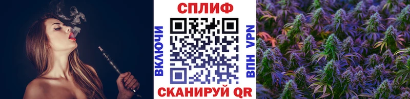 закладка  Устюжна  Канабис индика 
